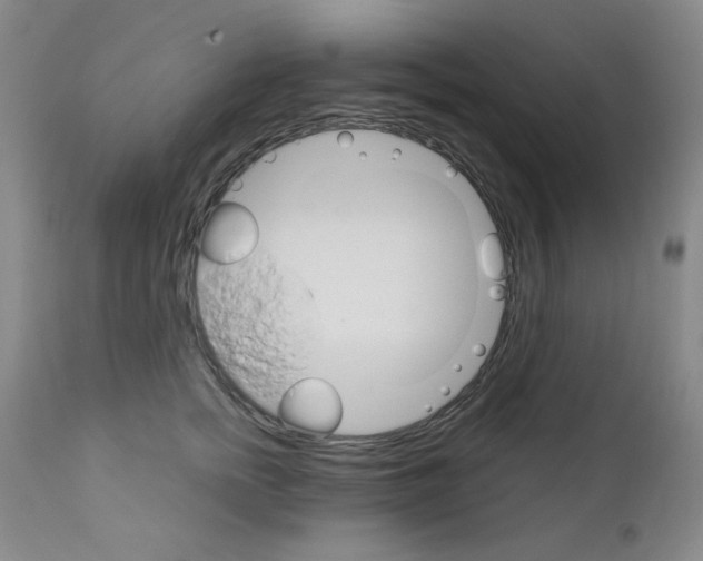 X0000111800758200909031229