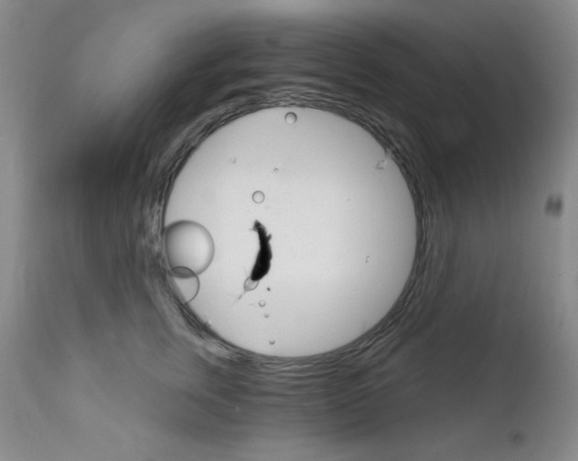 X0000111800759200909031229