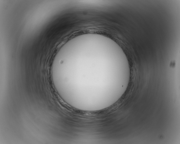 X0000111800760200909031229