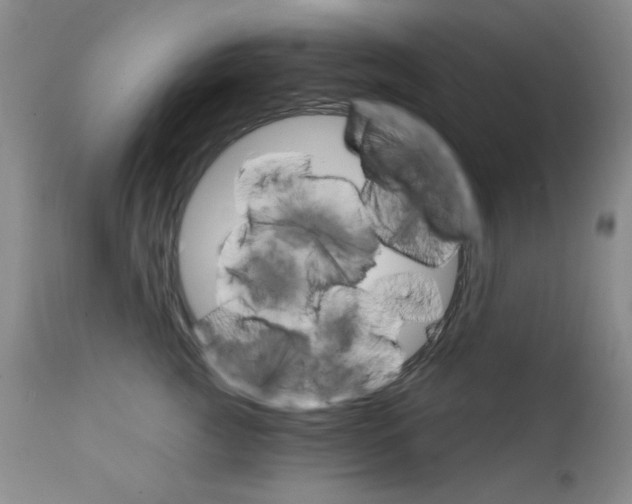 X0000111800761200909031229