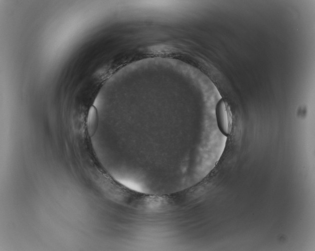 X0000111800762200909031229
