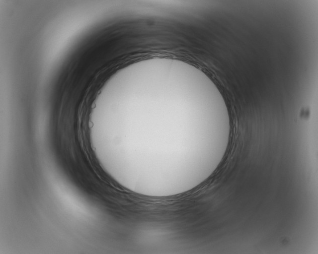 X0000111800763200909031229