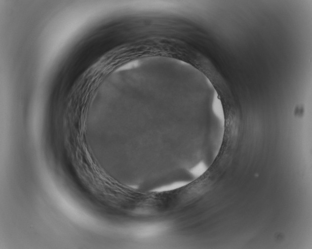 X0000111800765200909031229