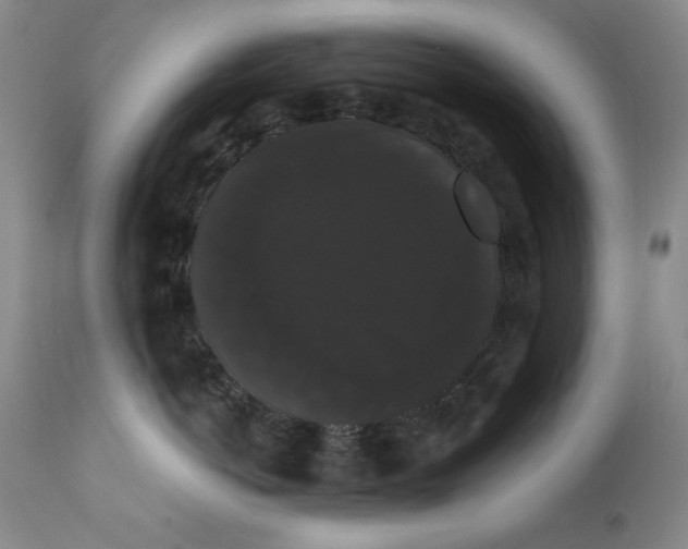 X0000111800766200909031229