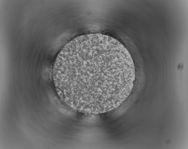 X0000111800768200909031229