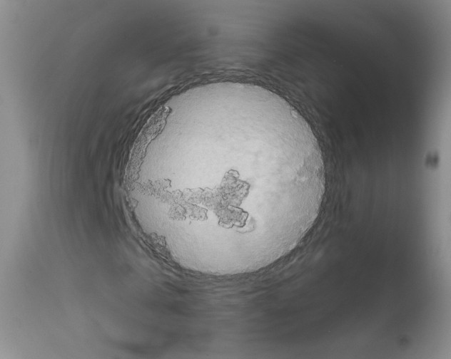 X0000111800769200909031228