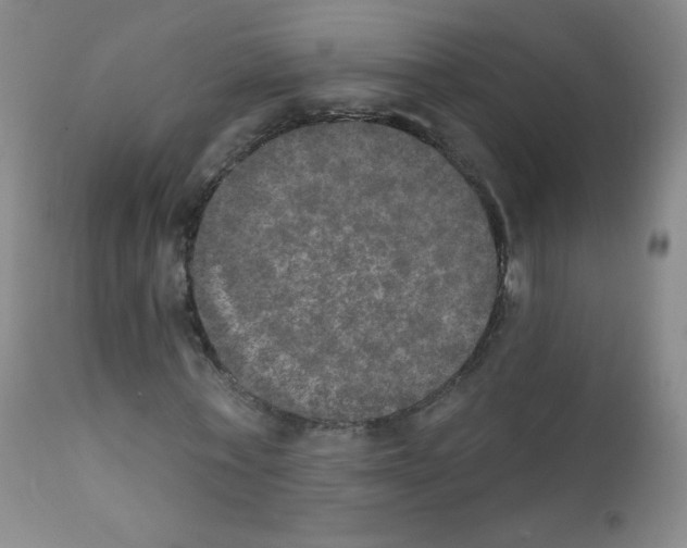 X0000111800771200909031228