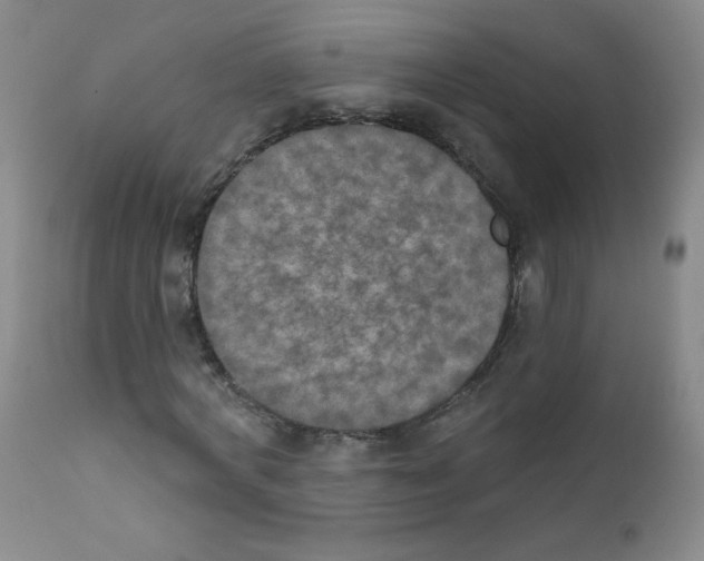 X0000111800772200909031228