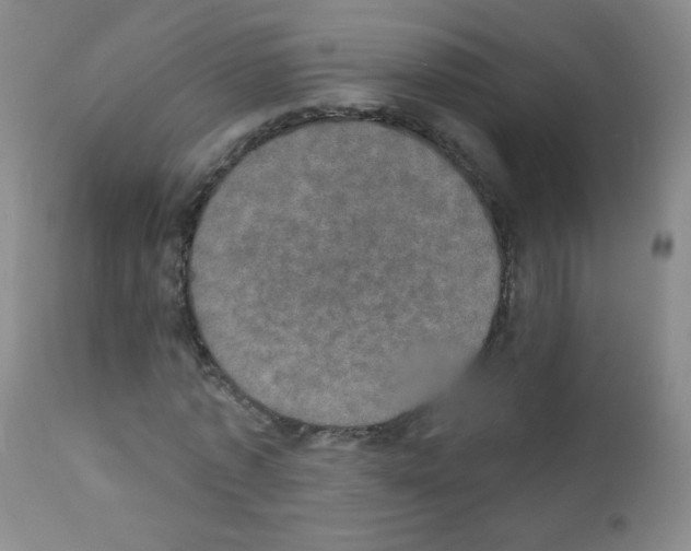 X0000111800773200909031228