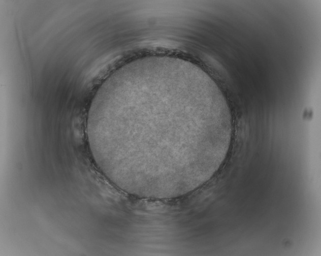 X0000111800774200909031228
