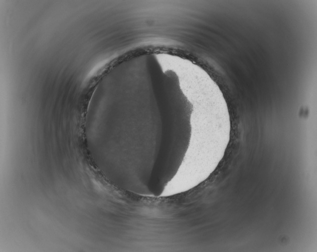 X0000111800775200909031228