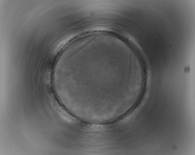 X0000111800777200909031228