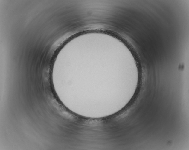 X0000111800778200909031228