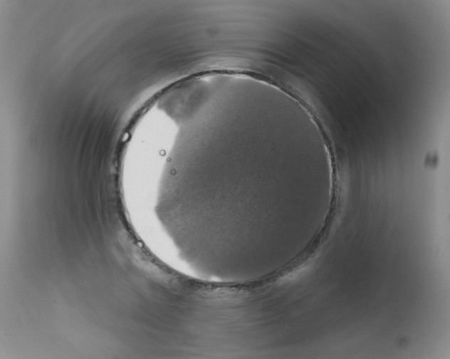 X0000111800779200909031228