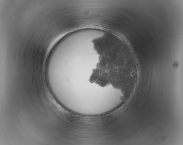 X0000111800780200909031228