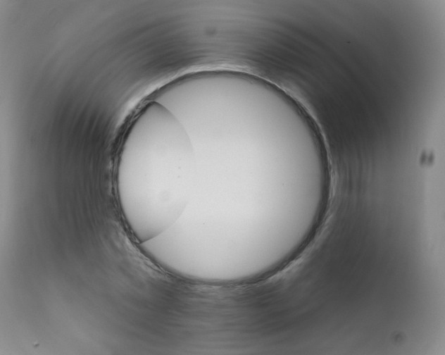 X0000111800781200909031228