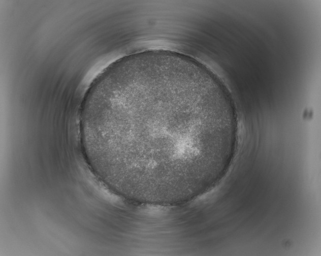 X0000111800782200909031228