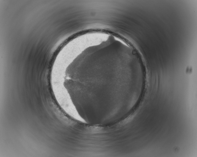 X0000111800783200909031228