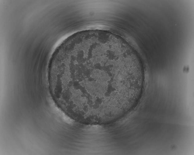 X0000111800784200909031228