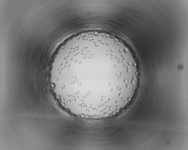 X0000111800786200909031228