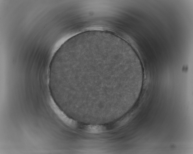 X0000111800795200909031228