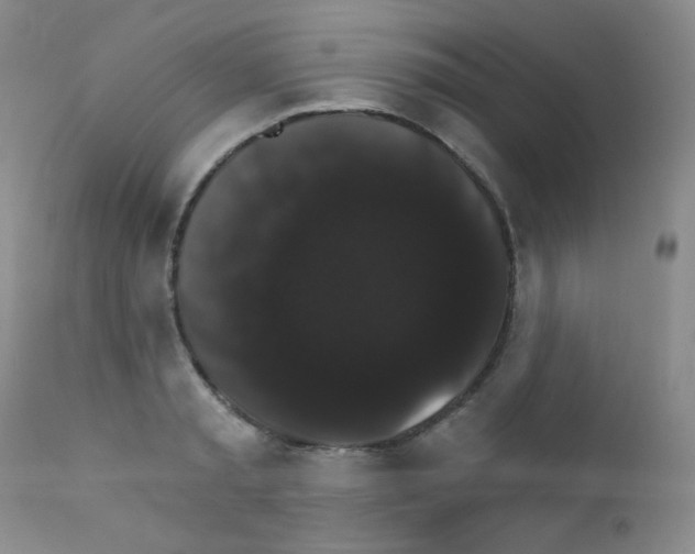 X0000111800797200909031228