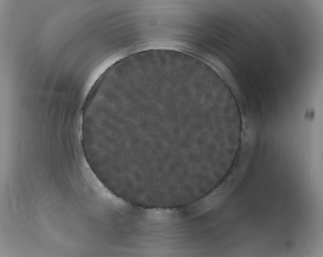 X0000111800804200909031228
