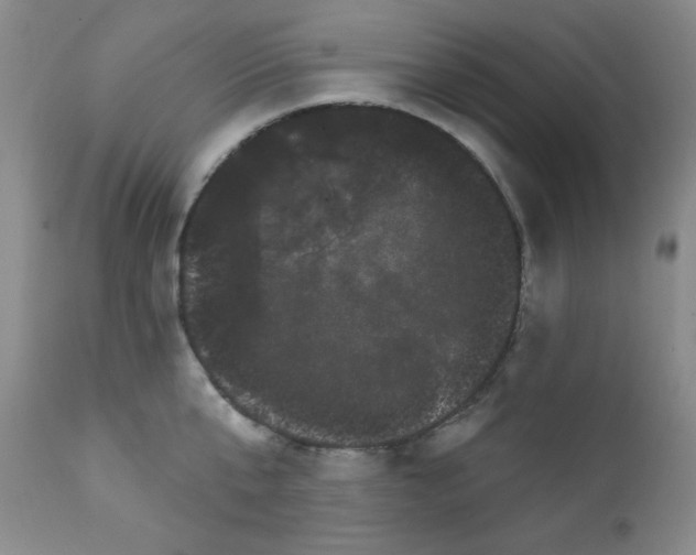 X0000111800807200909031228