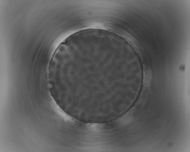 X0000111800808200909031228