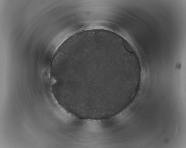 X0000111800809200909031228