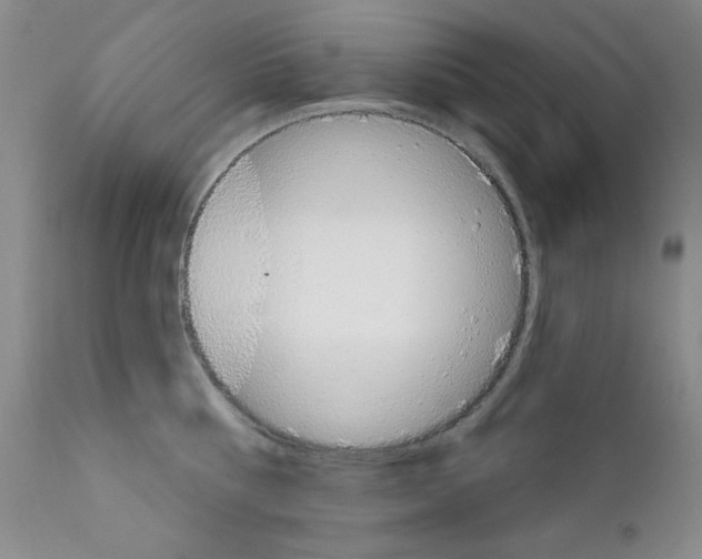 X0000111800810200909031228