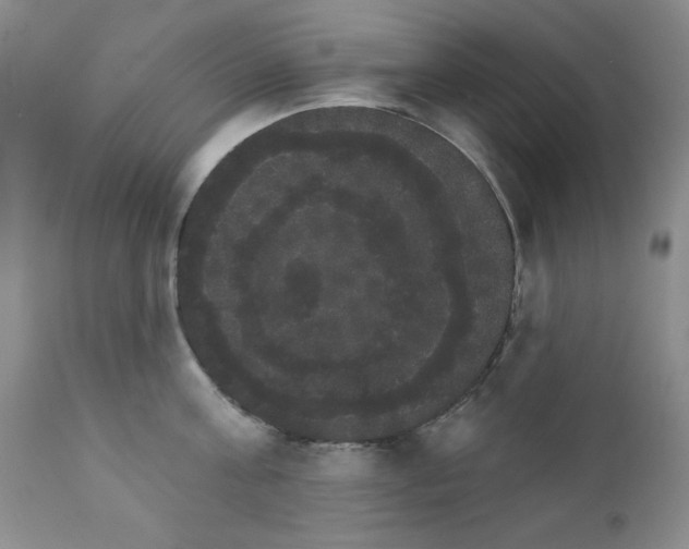 X0000111800811200909031228