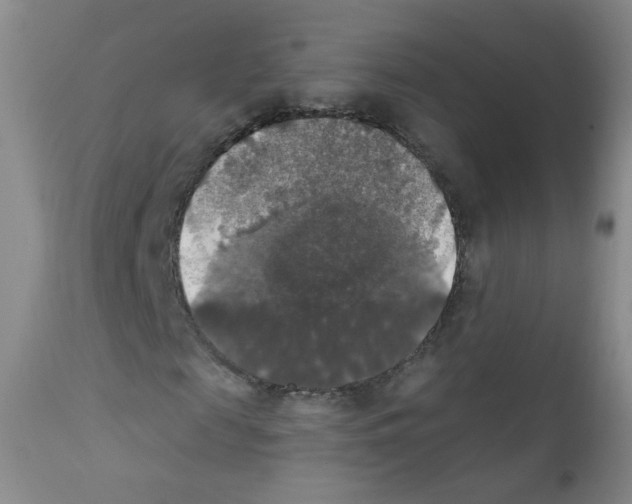X0000111800817200909031227