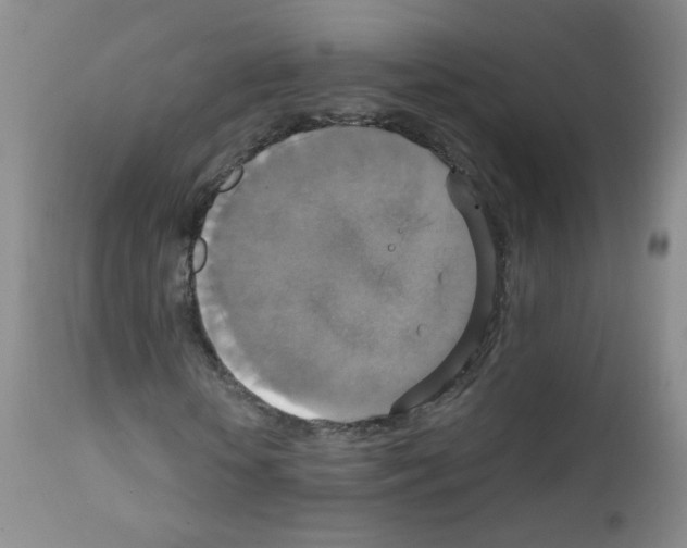 X0000111800818200909031227