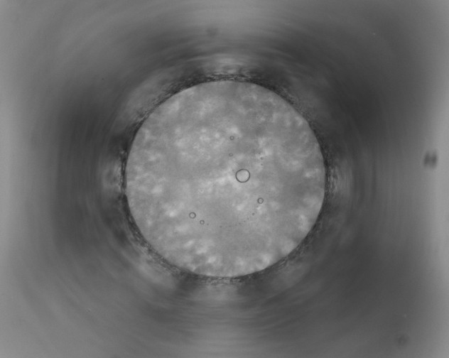 X0000111800820200909031227