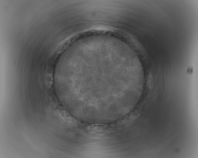 X0000111800821200909031227
