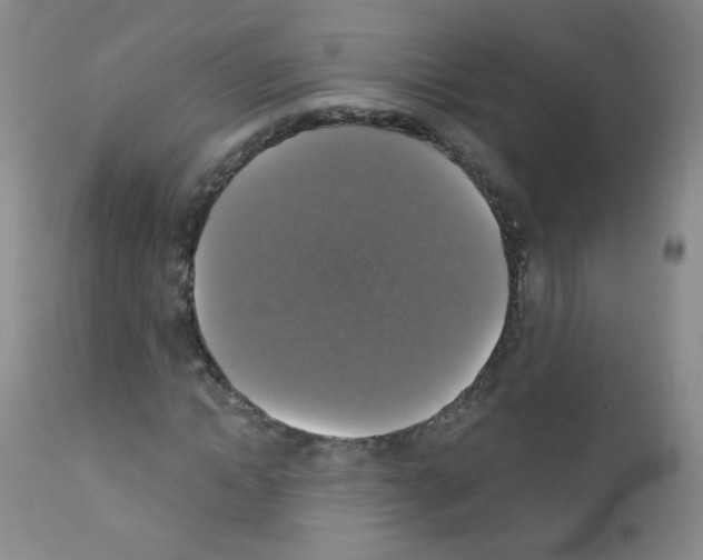 X0000111800822200909031227