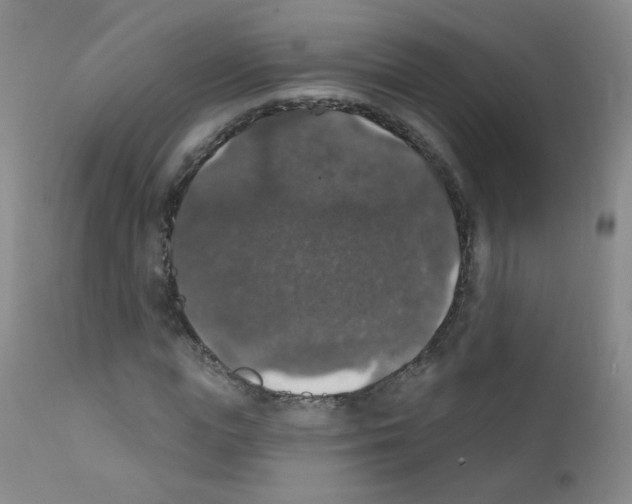 X0000111800823200909031227