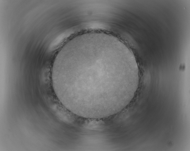 X0000111800824200909031227
