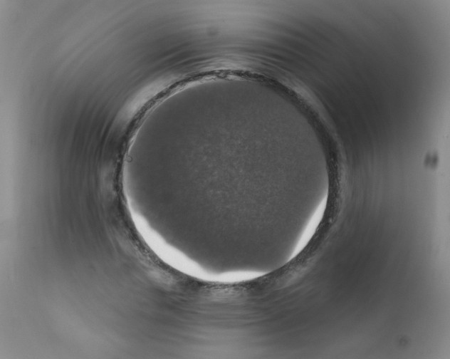 X0000111800826200909031227