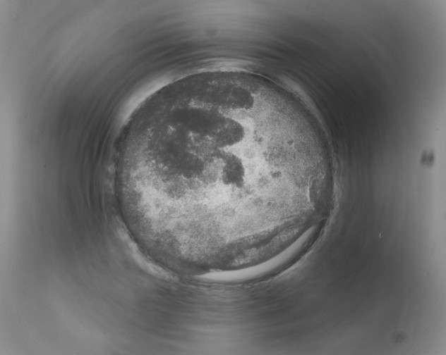 X0000111800827200909031227