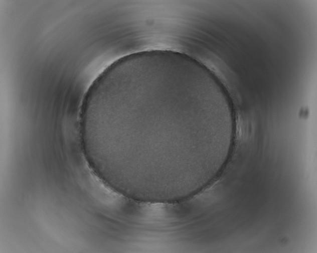 X0000111800828200909031227