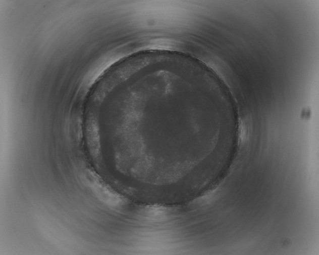 X0000111800829200909031227