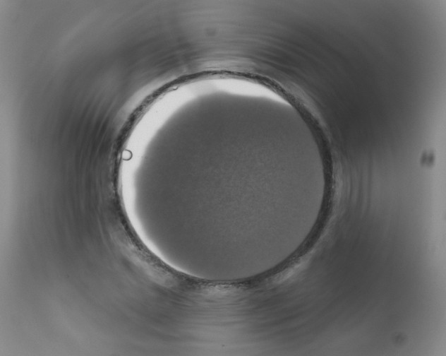 X0000111800830200909031227