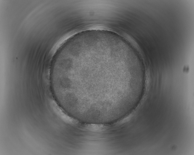 X0000111800831200909031227