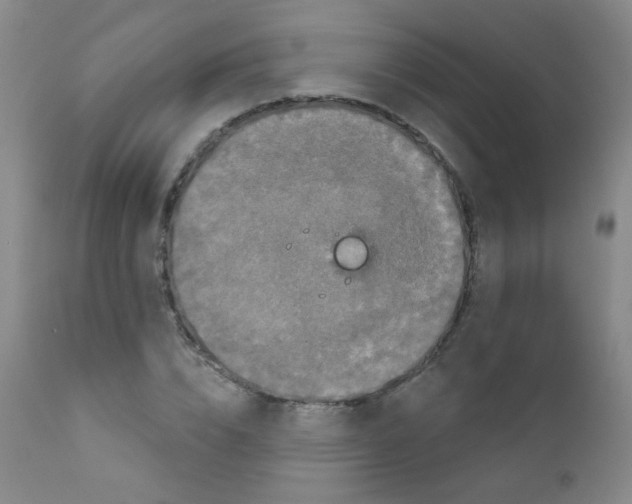 X0000111800832200909031227