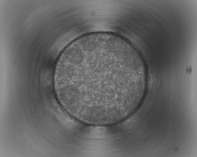 X0000111800833200909031227