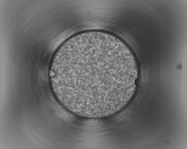 X0000111800834200909031227