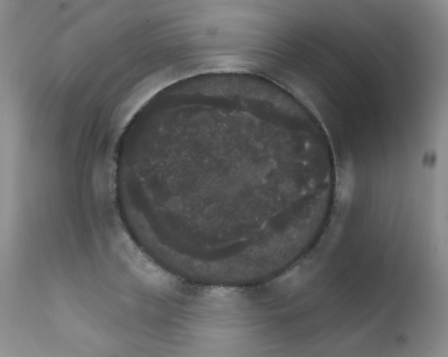 X0000111800835200909031227