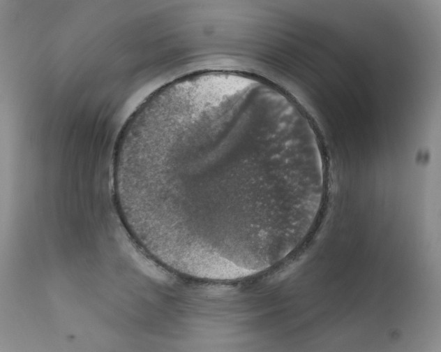 X0000111800837200909031227